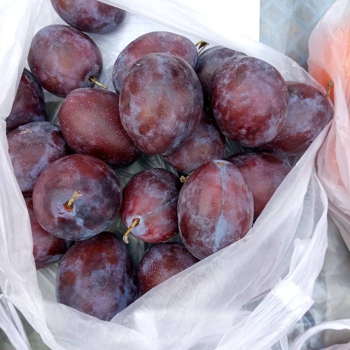 Слива " венгерка" домашня.