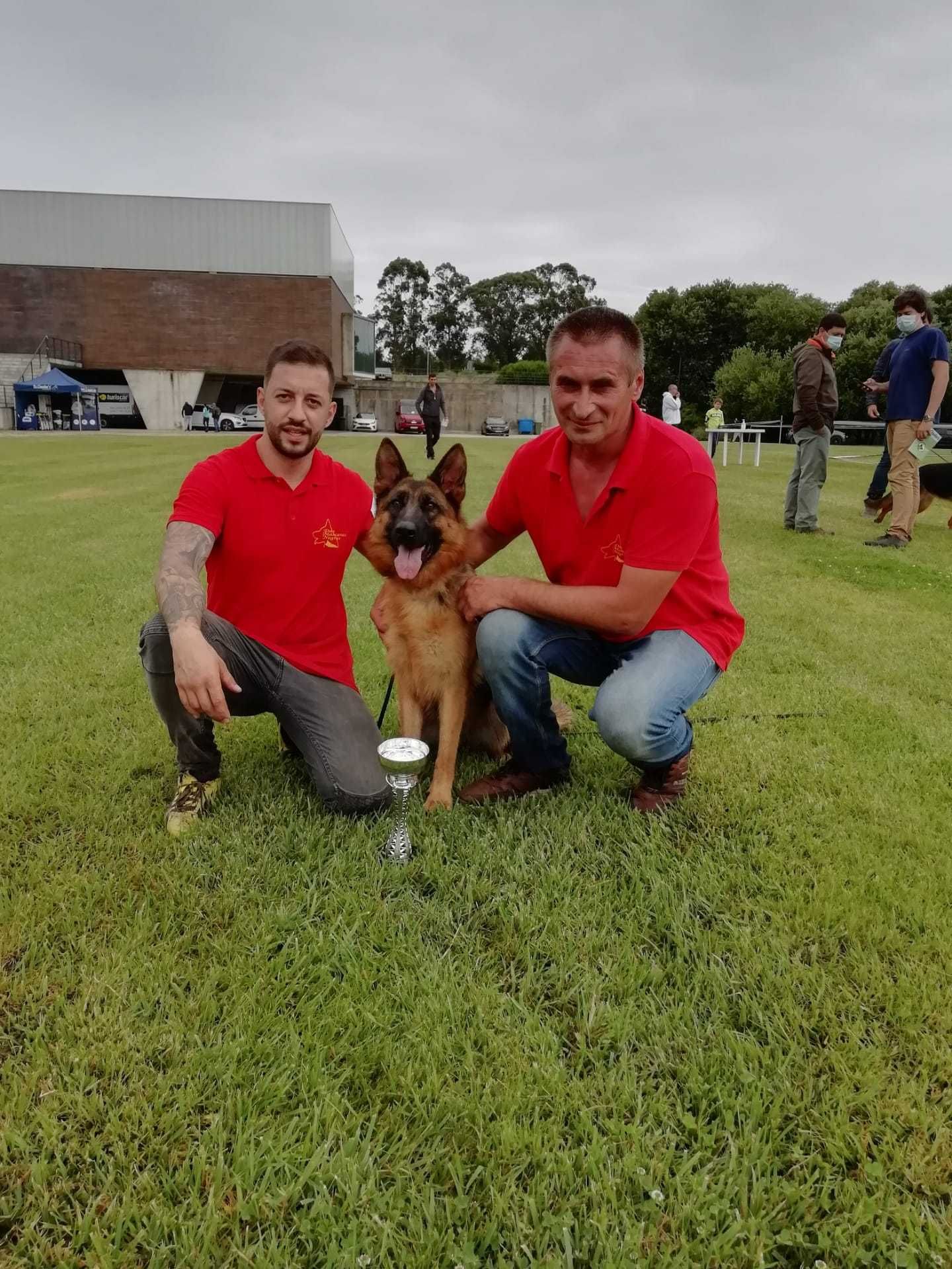 Pastor Alemão com lop e afixo