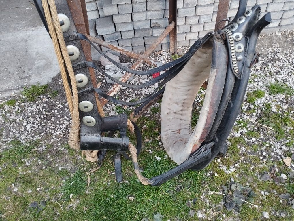 Chomonta 29 cali  chomąta homonto