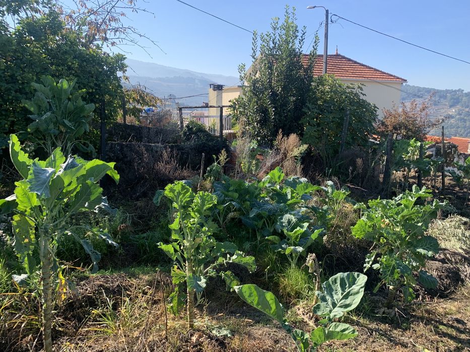 Terreno com habitacao
