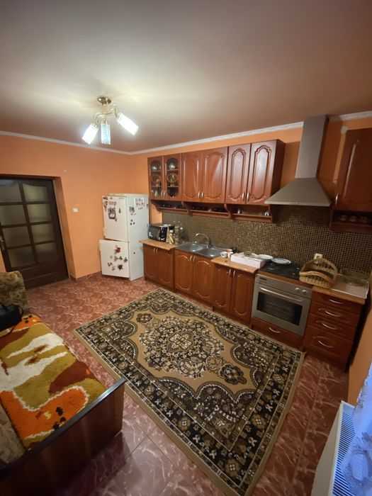 Продам будинок у передмісті Берегова