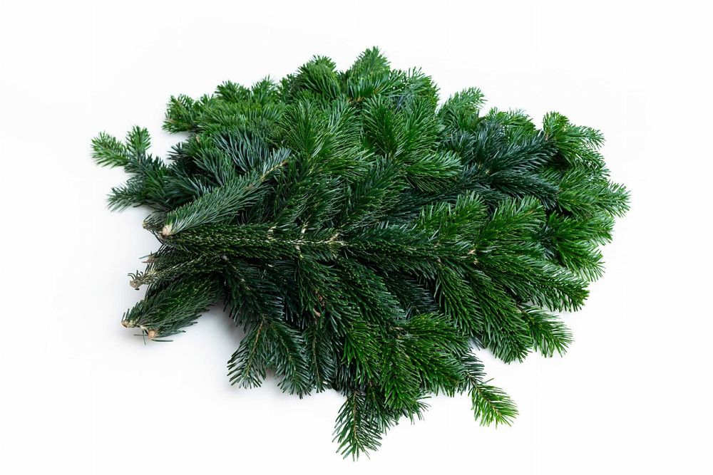 Zestaw gałązek 15-90cm