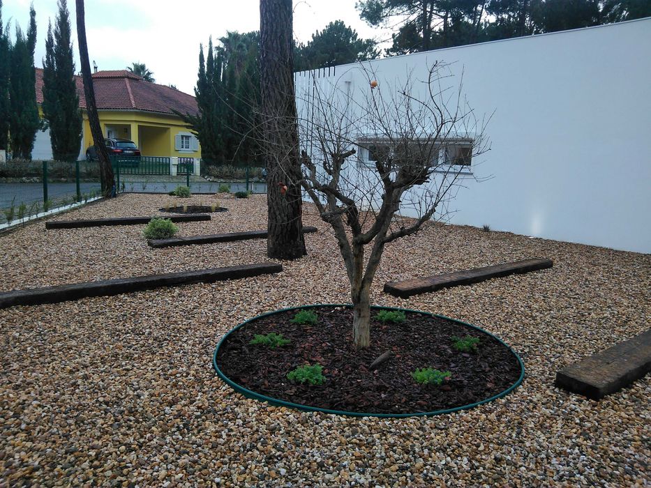 Seixo de Rio, pedra jardim rolada