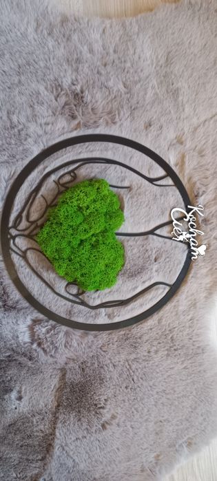 Obraz z mchu finskiego