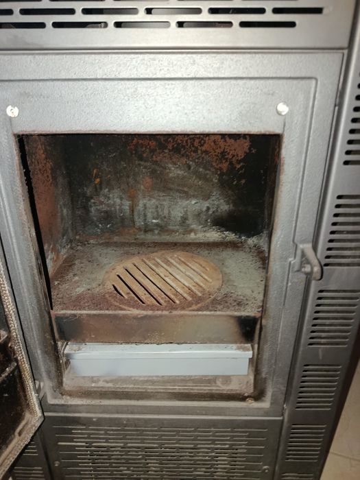 Salamandra em excelente estado