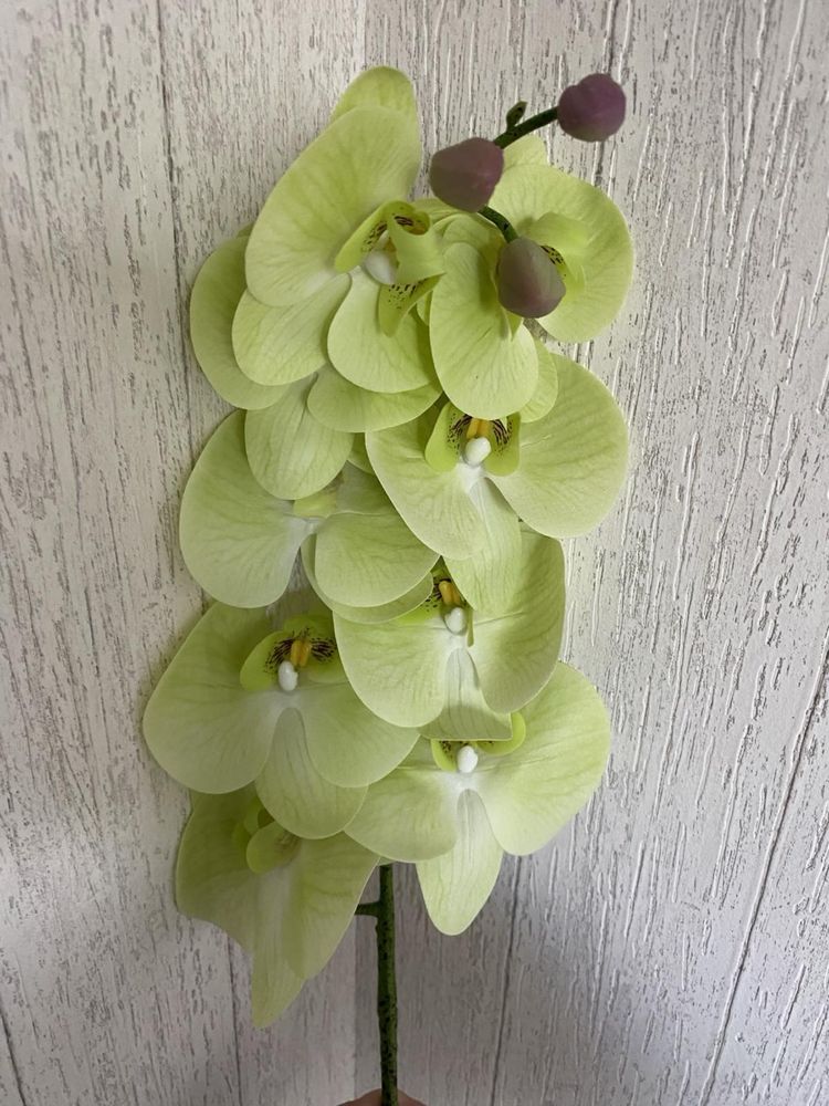 Орхидея ветка,100 см,сенсорный латекс