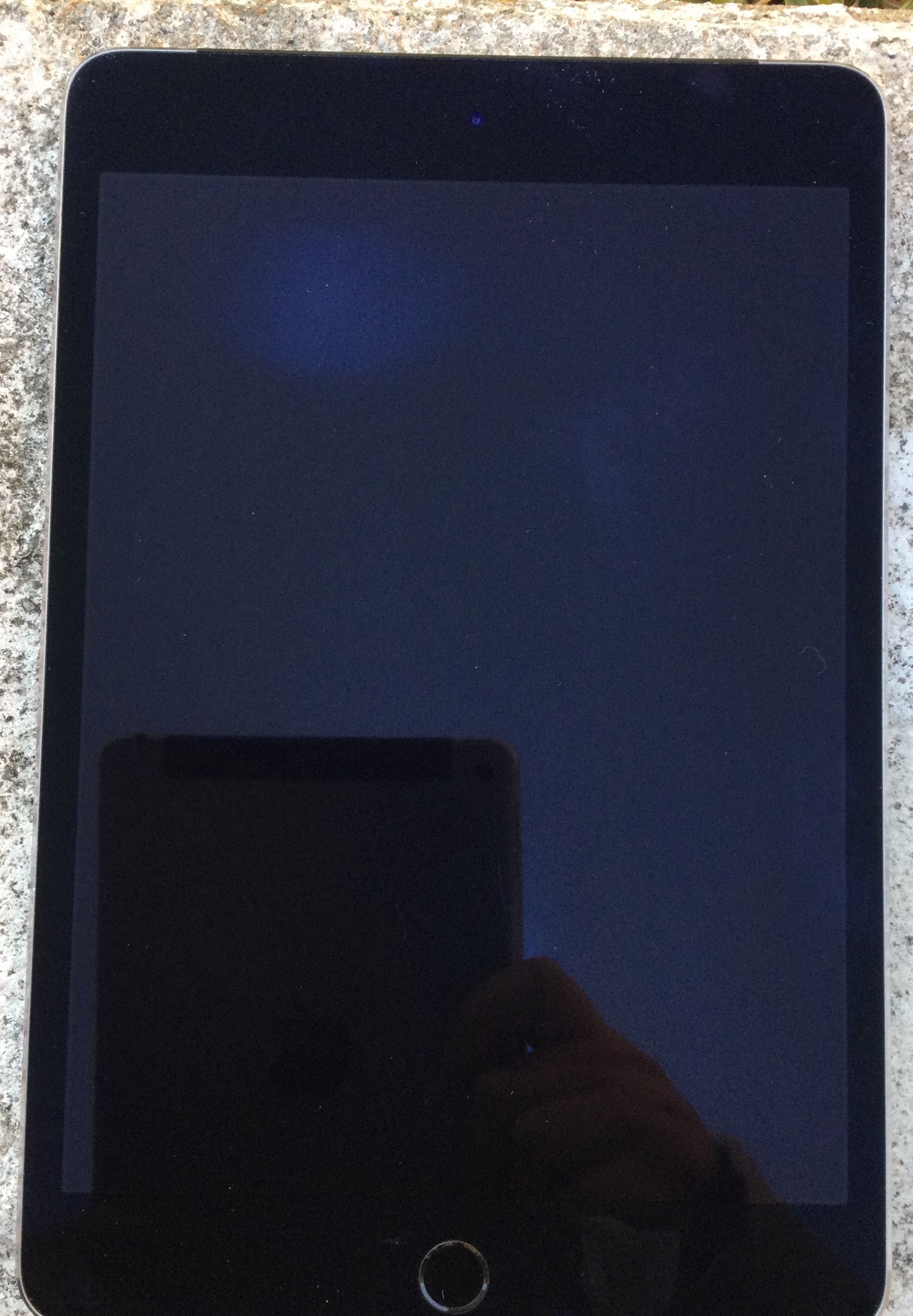 iPad mini 4 Wi-Fi + Celular 16 GB