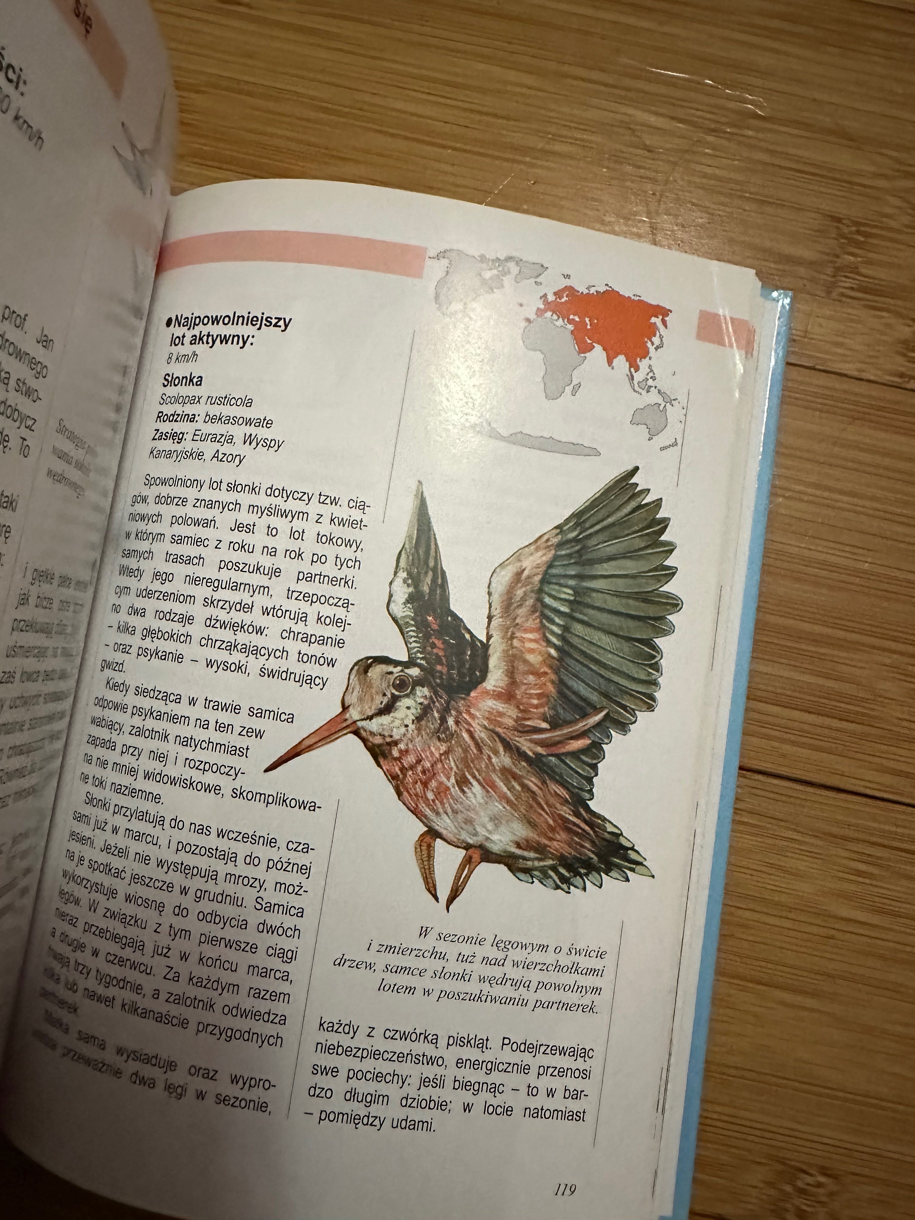 Ilustrowana encyklopedia ptaków Andrzej Trepka książka