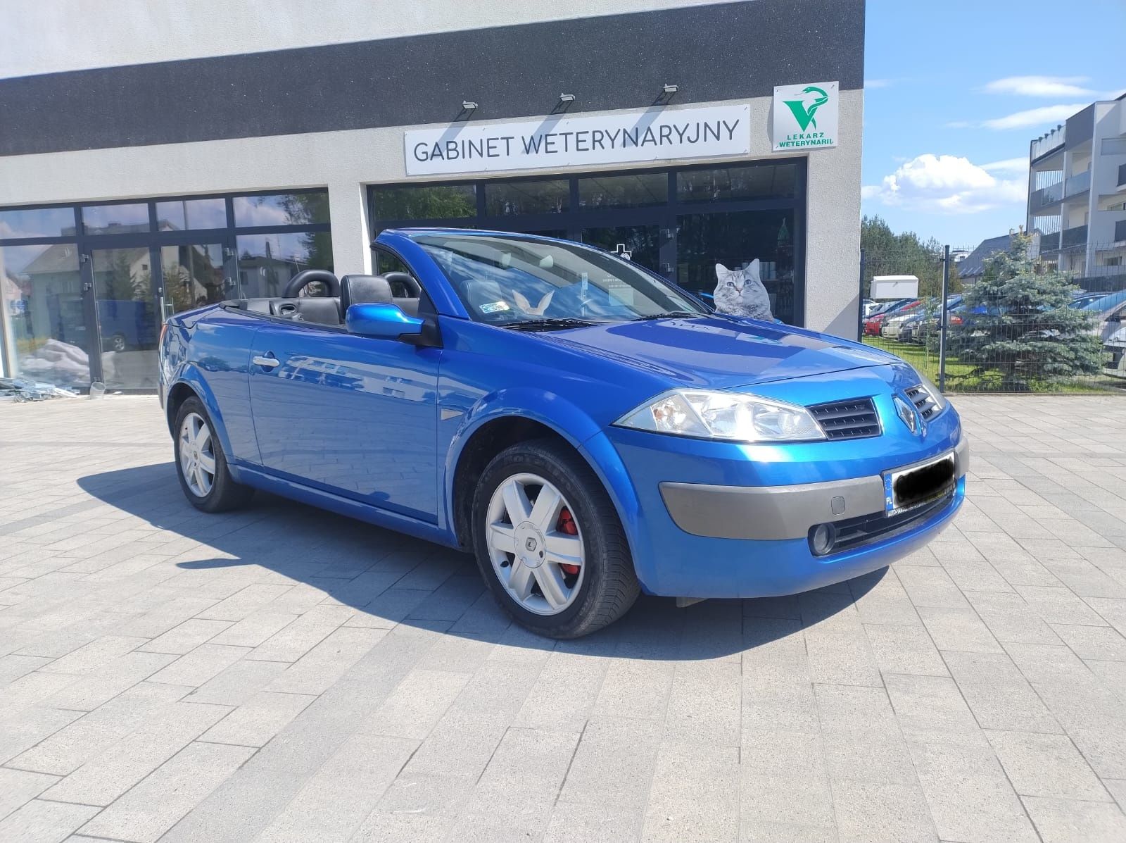 Renault Megane II cabrio 2.0 benzyna