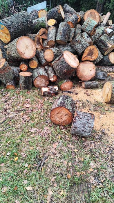 Sprzedam olchę,250 zł sosnę gałęziówka 120 zł