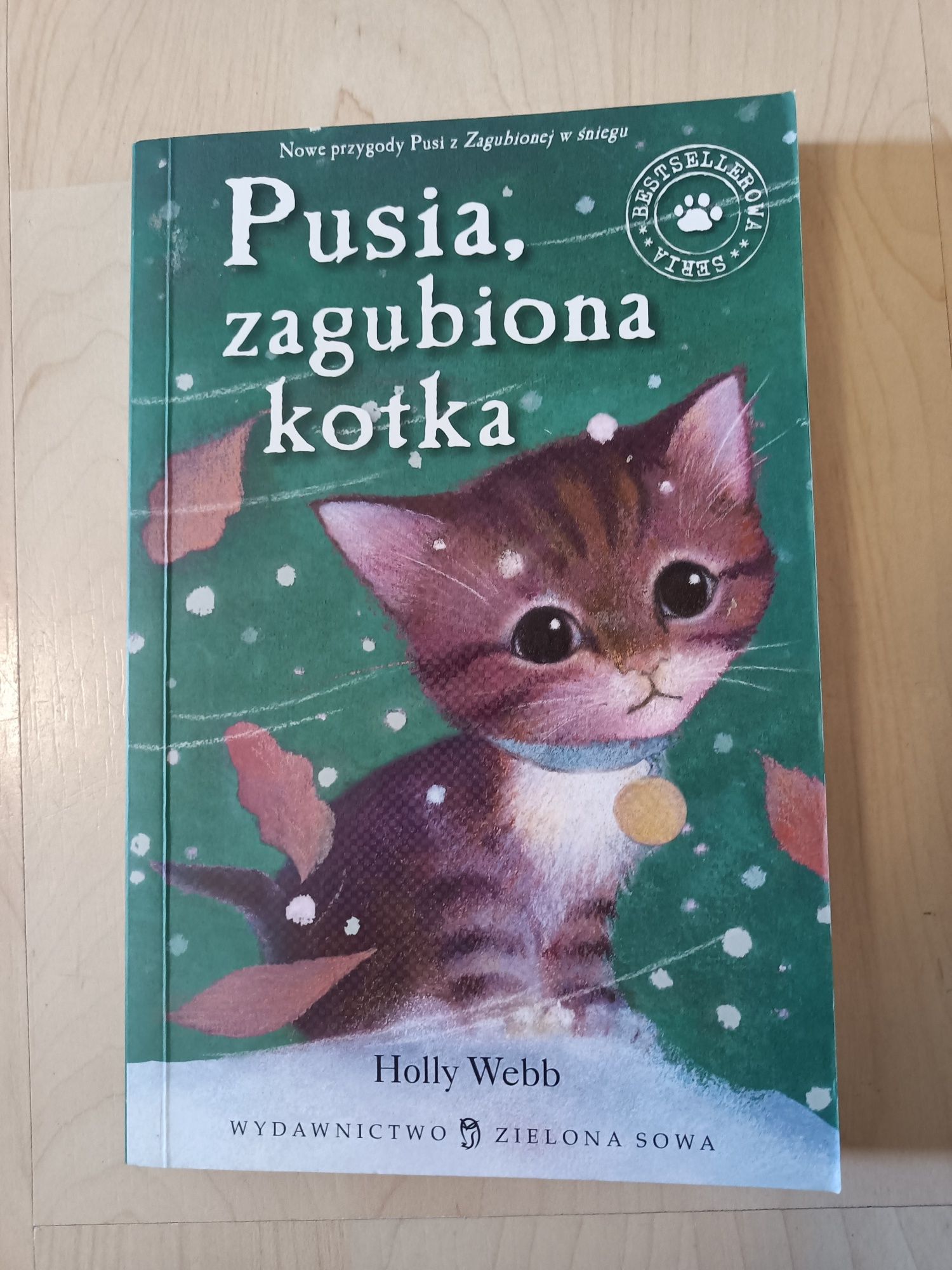 Pusia zagubiona kotka