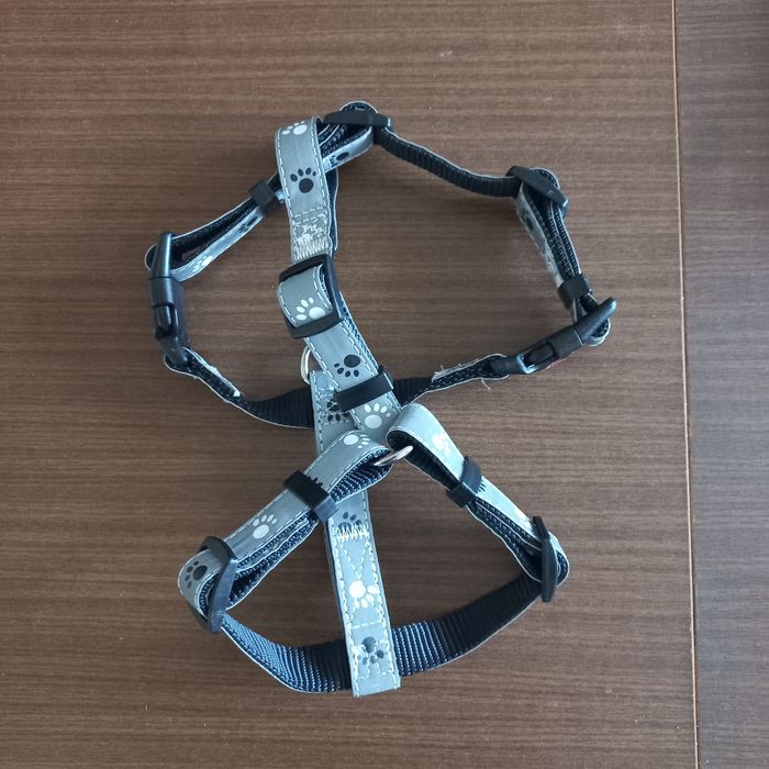 Ошейник для маленькой собачки, новый, светоотражающий