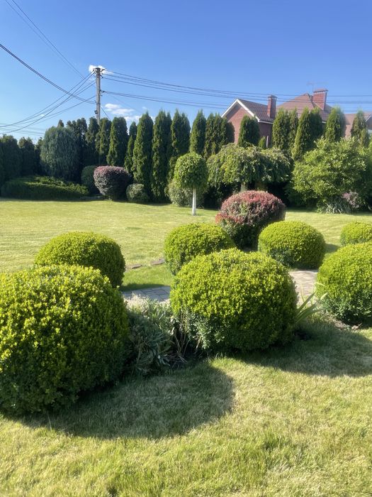 Послуги садівника, озелененя, консервація рослин та поливу на зиму.