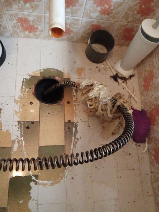 Desentupimento  / Controlo de pragas