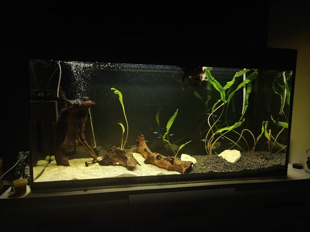 Aquael glossy 260l wraz z osprzętem w