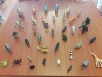 Animais selvagens, da quinta, domésticos, etc