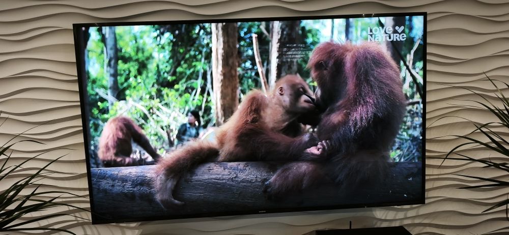 Telewizor Samsung 75 cali 4K stan igła