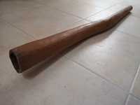 Didgeridoo Eucalipto Australiano