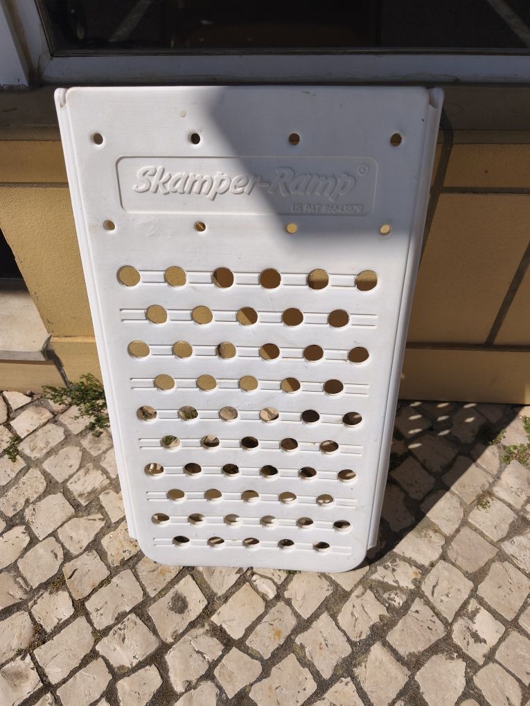 Rampa para cães piscina