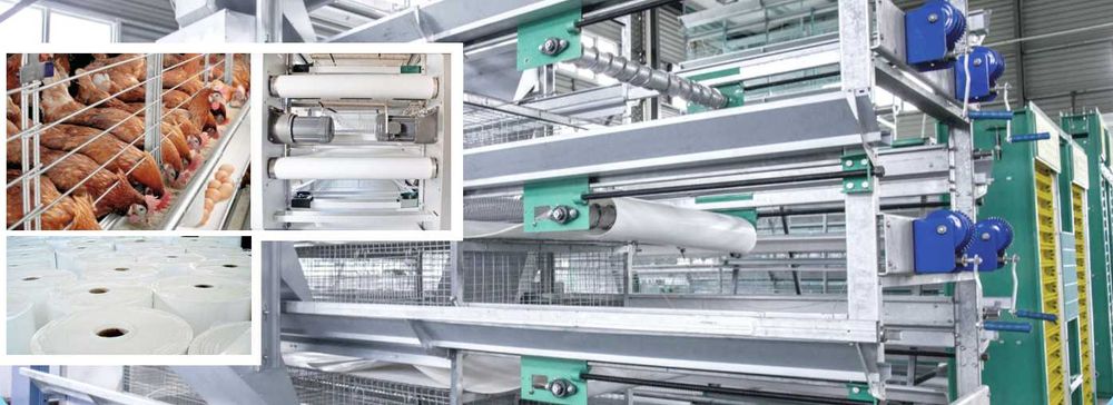 Стрічка видалення курячого посліду поліпропіленова