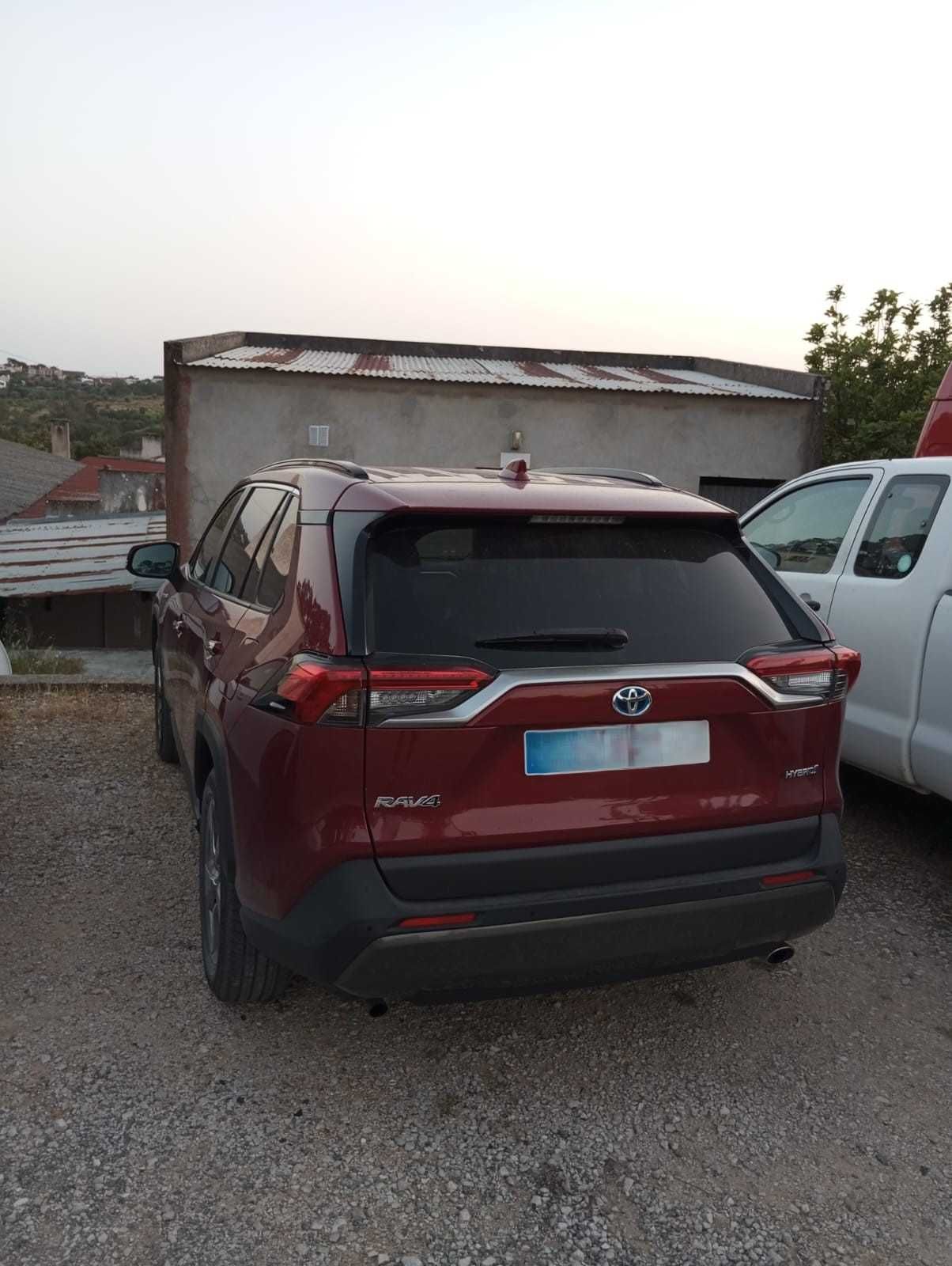 Toyota RAV4 2.5 híbrido 2020