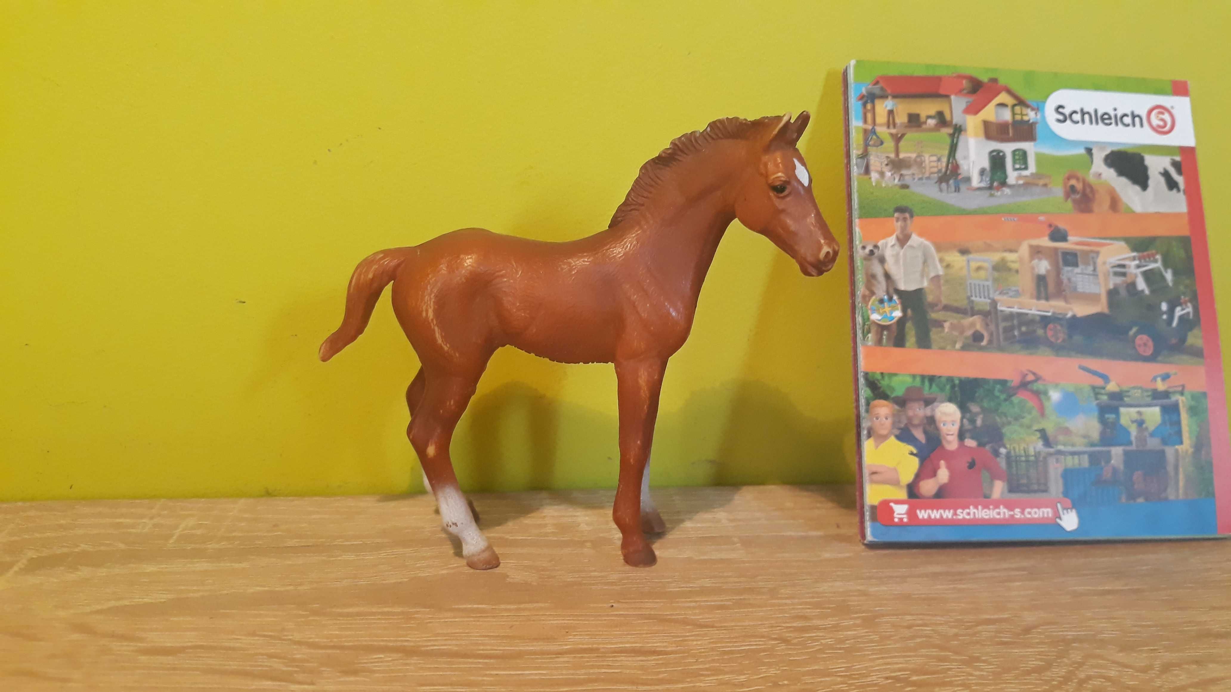 Źrebak Thoroughbred Collecta 2014 (jak Schleich)