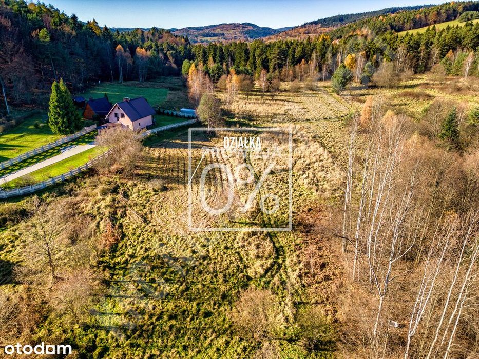 Działka w spokojnym miejscu blisko lasu