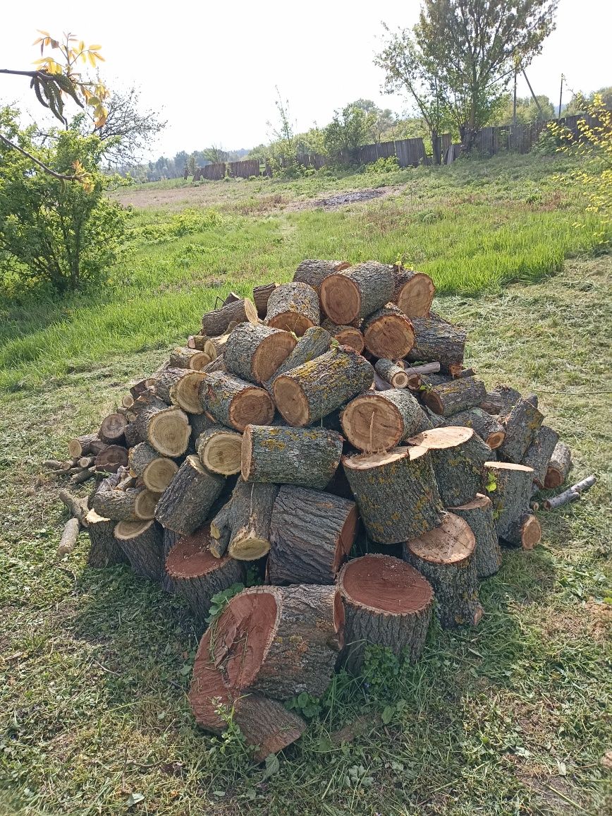 Продам дрова попиляні