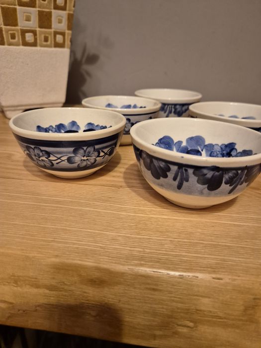 Polmiski fajans Wloslawek