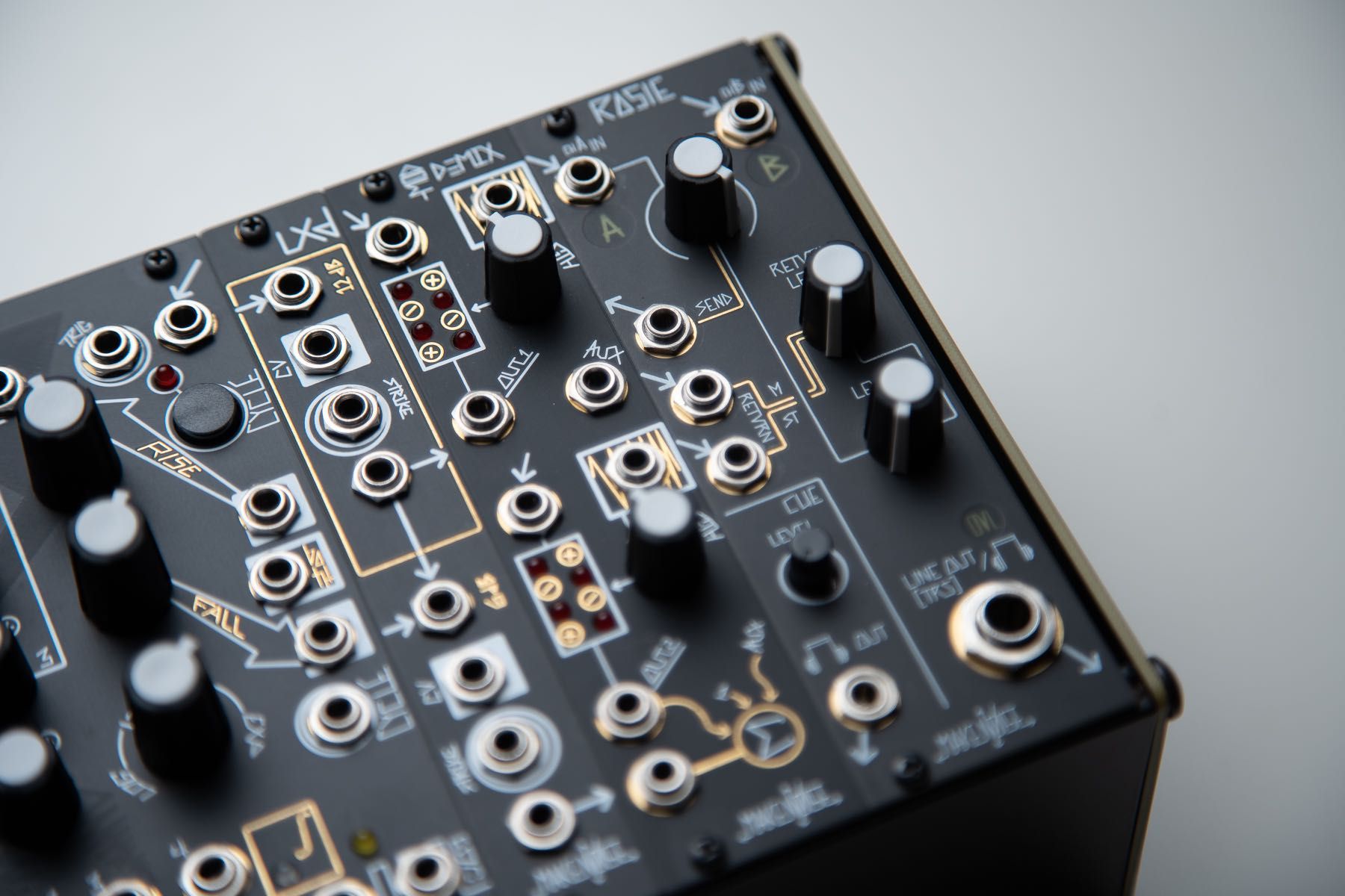 Make Noise BG System Cartesian [BLACK AND GOLD] (Synth Modular)