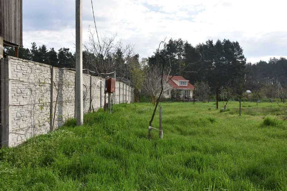 Власне озеро виноградники теплиця сад Бориспольскій р-н Вороньків