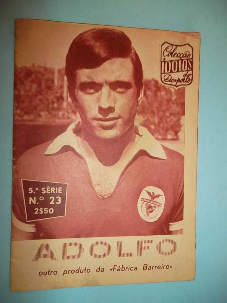 ÍDOLOS DO DESPORTO - Grande lote com várias séries, desde 1956.