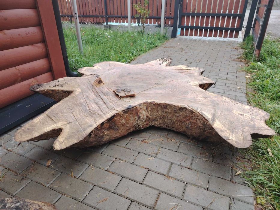 Plaster DĘBOWY na stół