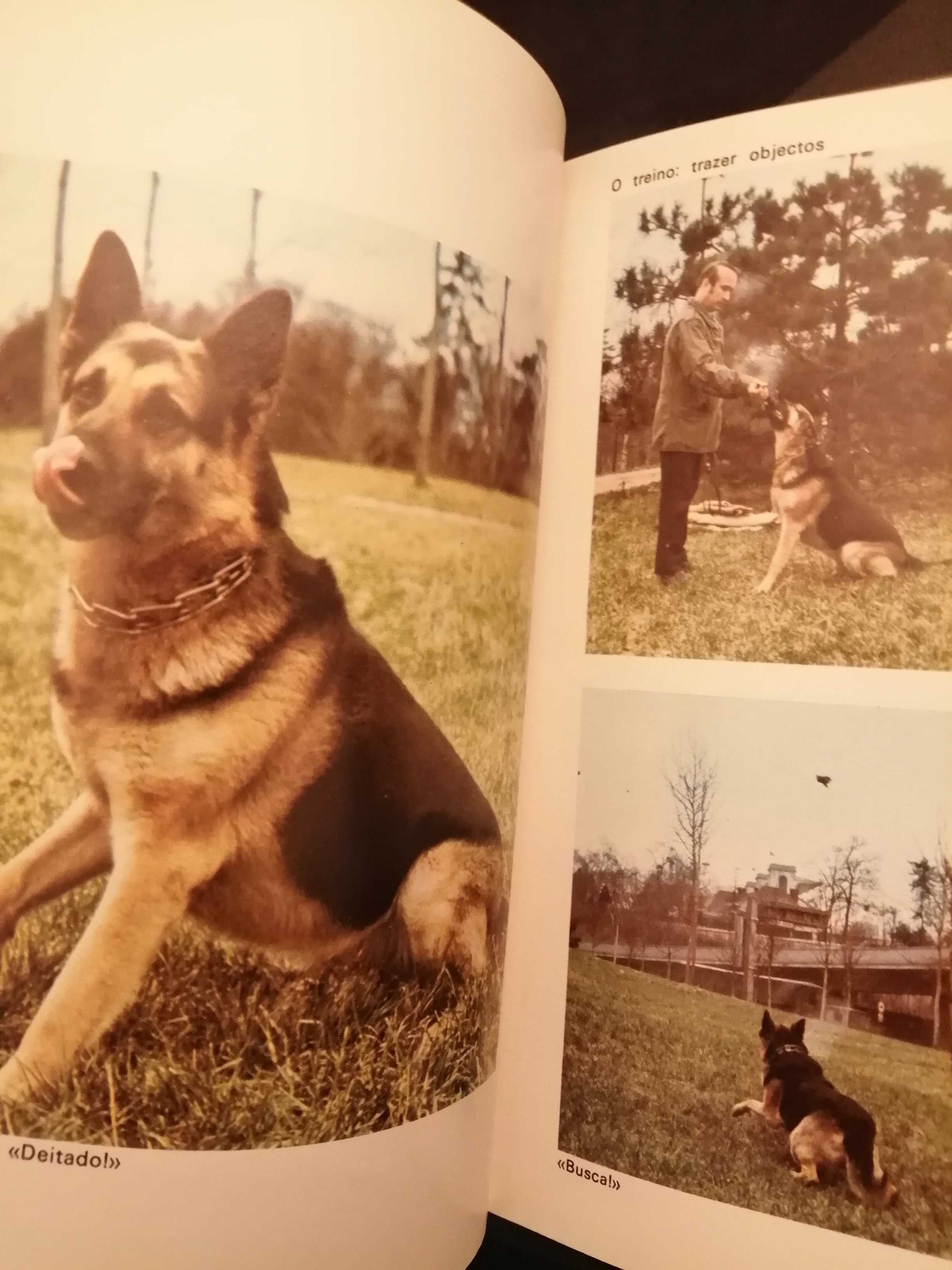 3 livros sobre cães e gatos