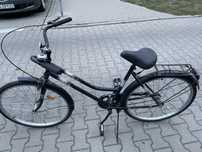 Rower Retro Bike 26
