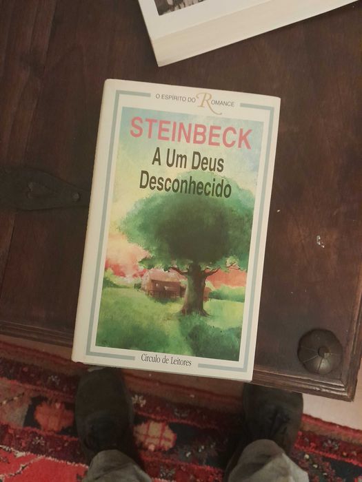 John steinbeck a um deus desconhecido