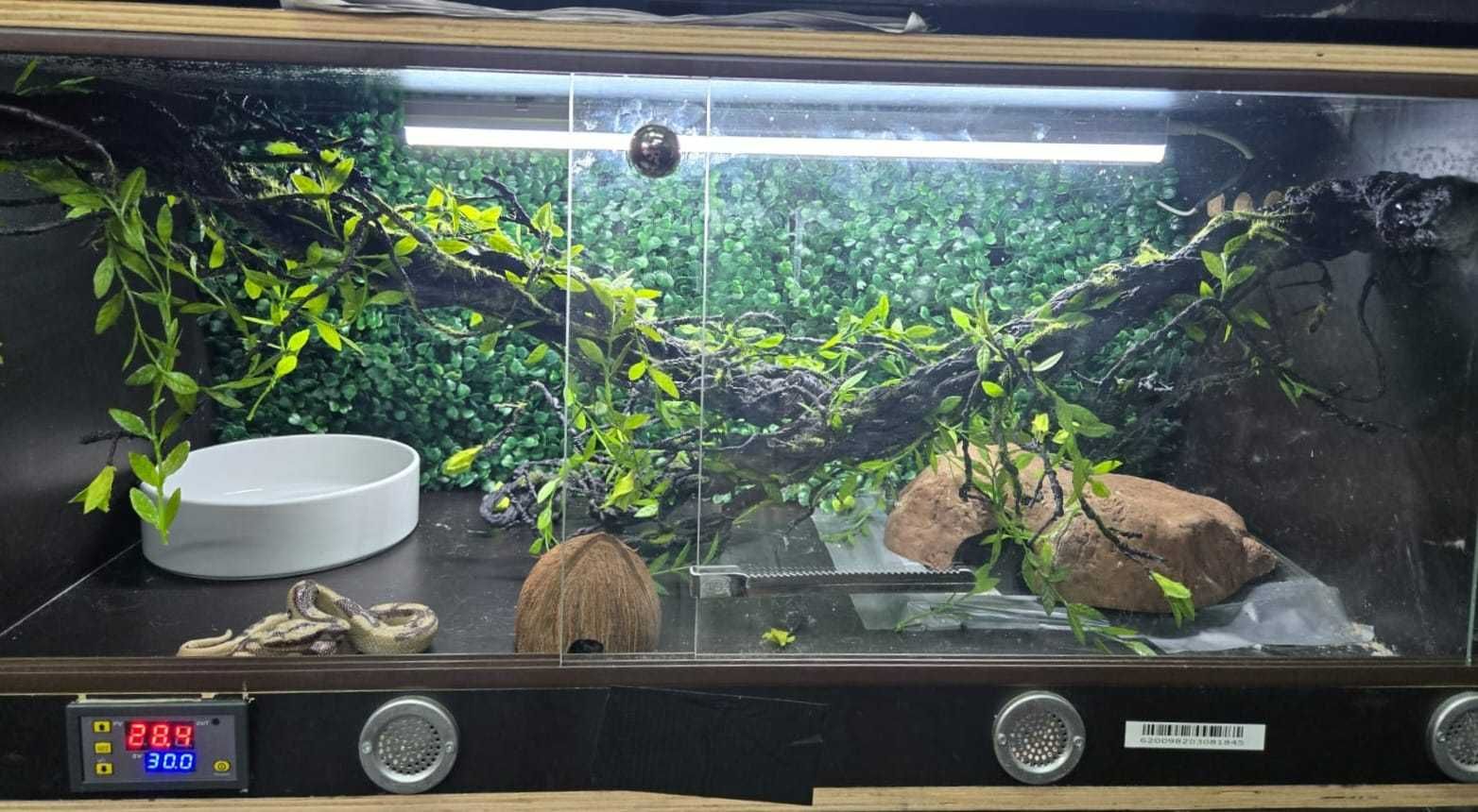 Terrário totalmente equipado (vários)