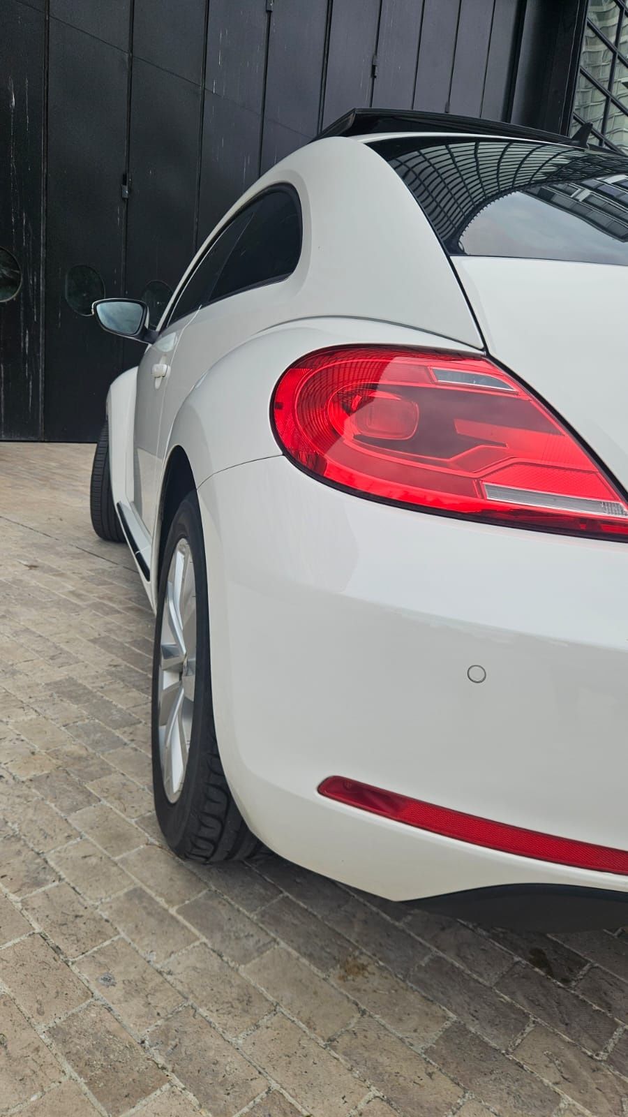 Beetle Maggiolino