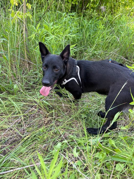 Красуня в відповідальні ручки!
