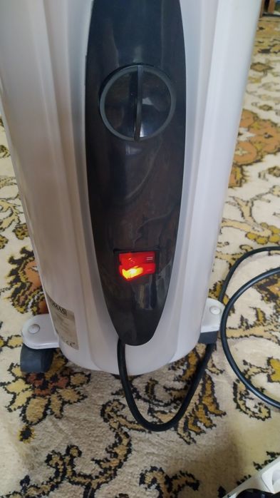 Товар заказан покупателемКактус комнатный