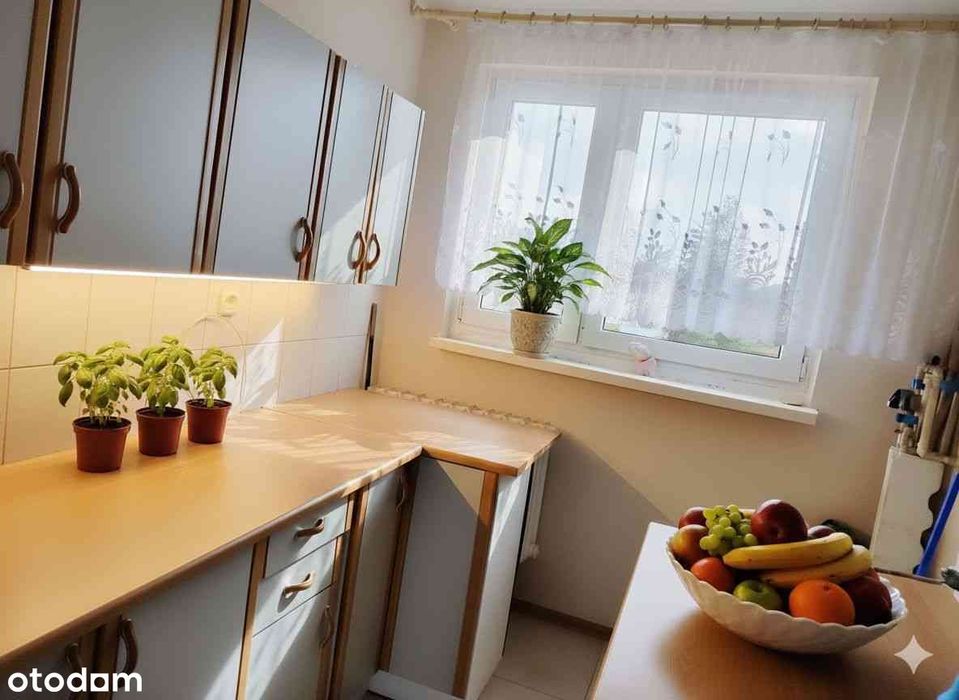 Mieszkanie 3 pokojowe  Opalenica