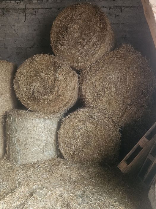 Sprzedam słomę owsiana rolki 120cm