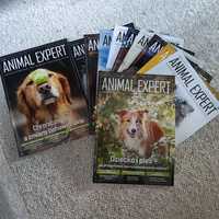 Animal expert czasopismo magazyn gazeta prenumerata behawiorysta