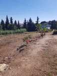 Limpezas de casas e terrenos
