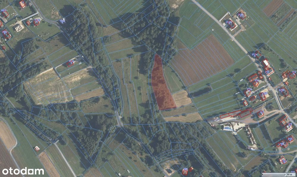 DZIAŁKI na sprzedaż w Rokiciny Podhalańskie.