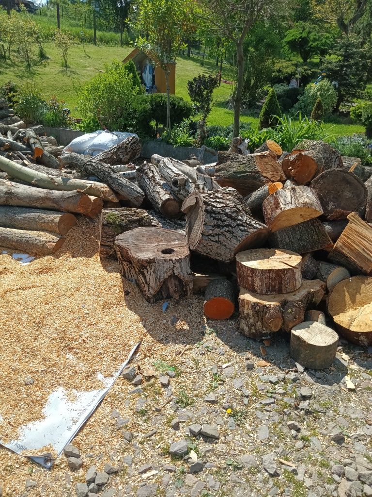 Drewno kominkowe mokre i sezonowane
