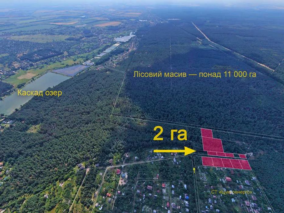 Продаж 2 га у лісовій місцевості, Хлепча (32 км від Києва)