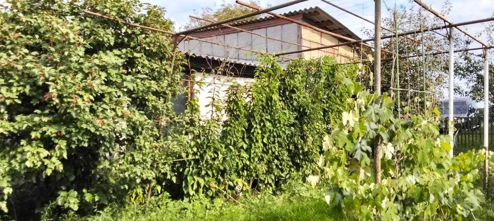 Продаж будинку в с.Феневичі Вишгородський р-н.