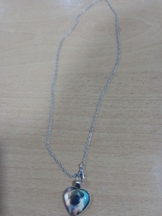 Pug carlin olarilole colar