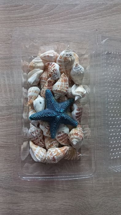 30 szt.muszle, muszelki ozdobne np. do akwarium